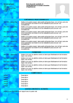 Modele De Cv Gratuit A Remplir Et A Telecharger En Ligne